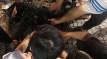 5 DẤU HIỆU 